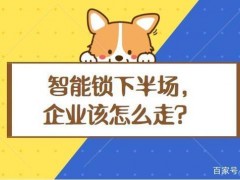 冷思考｜智能鎖行業(yè)的下半場該怎么走？